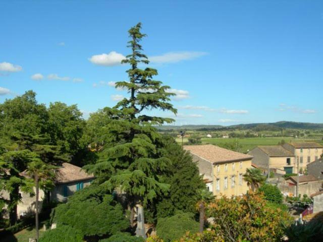 Chambres D'Hotes Le Clos De Venes Saint-Couat-dʼAude Exteriér fotografie